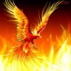 /data/articles/1024/fenix.jpg