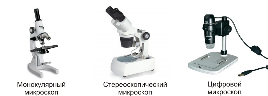 Виды Микроскопов Фото
