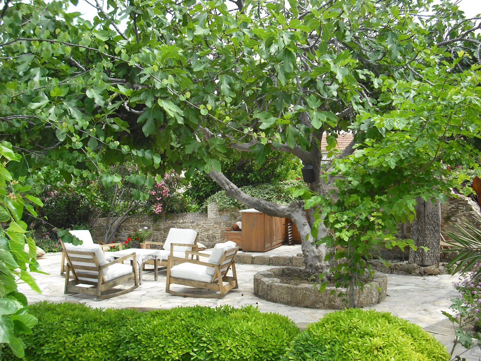 Яблоневый сад дома. Лорн Хэнкок ландшафтный дизайнер. Фруктовые деревья для сада. Ландшафт с плодовыми деревьями. ПЛОДОЙ сад в ландшафтном дизайне.
