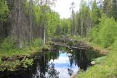 Natur Karelija