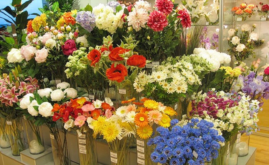 Где Можно Купить Красивые Цветы