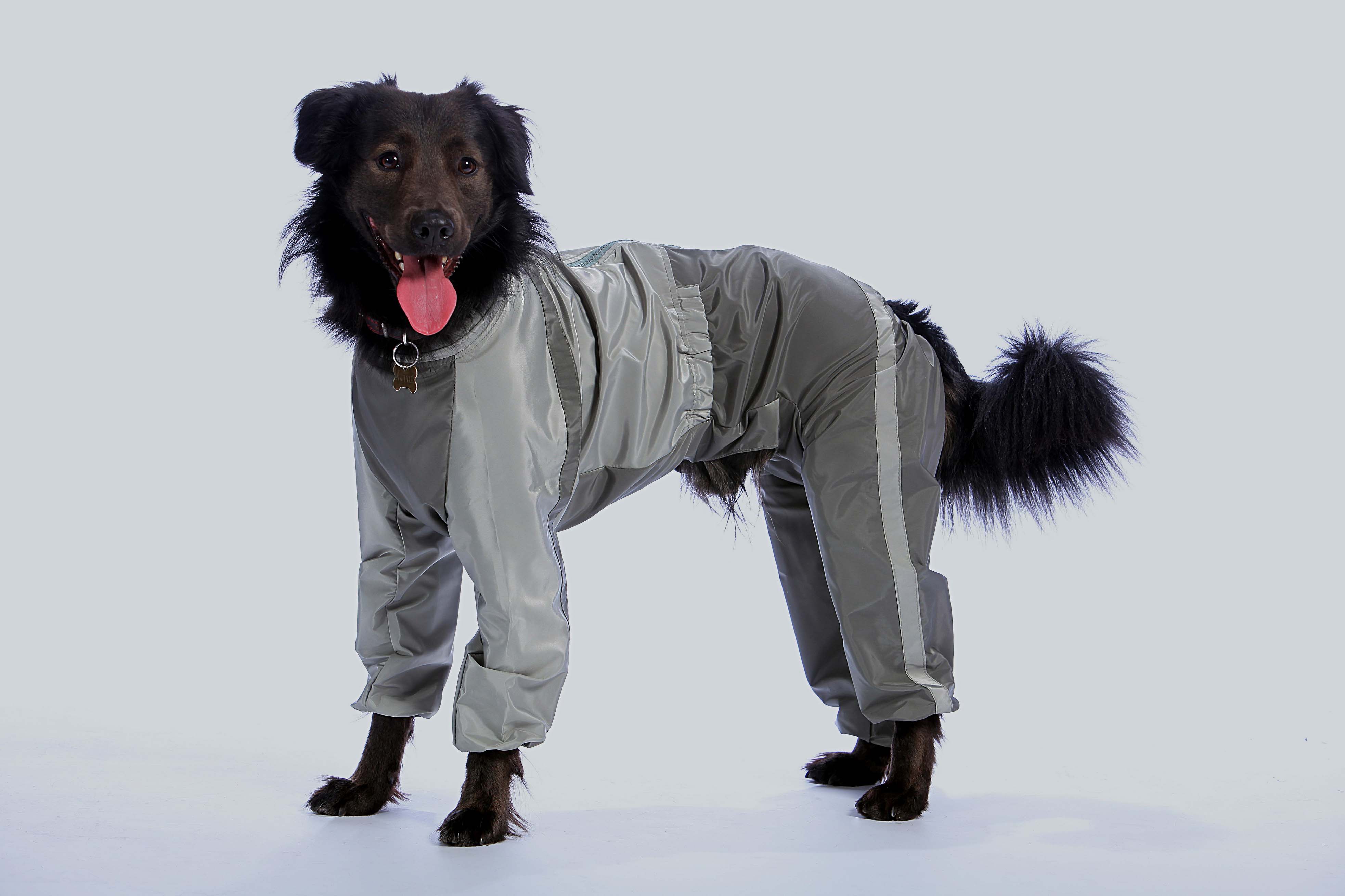 Советы по изготовлению одежды для собак своими руками, описание моделей