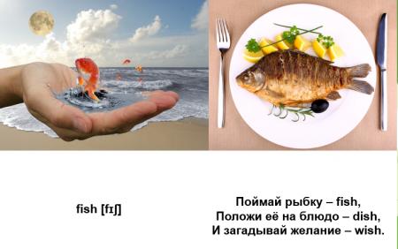 рыба – fish.